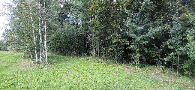 Działka rekreacyjna 0,37ha z linią brzegową i starodrzewiem