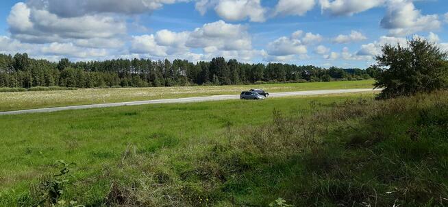 Działka rekreacyjna/inwestycyjna 0,38ha ze starodrzewiem