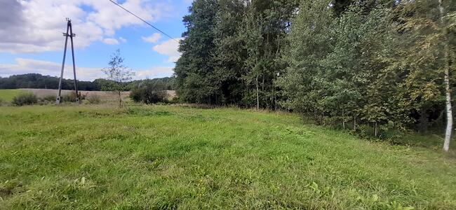 Działka rekreacyjna 0,37ha z linią brzegową i starodrzewiem