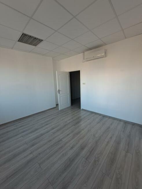 bezposrednio od zaraz