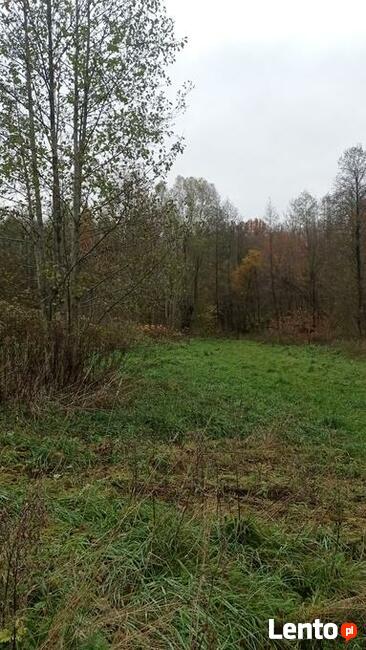 Działka budowlana.Mazury