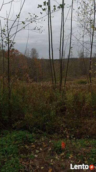 Działka budowlana.Mazury