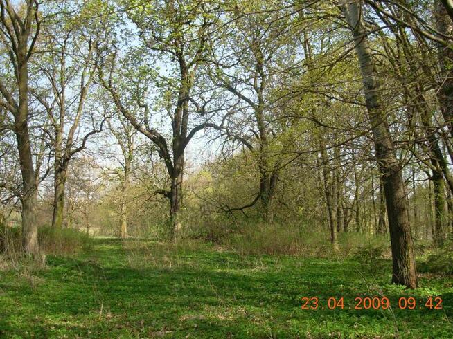 Super lokalizacja działka siedliskowa 0.5H