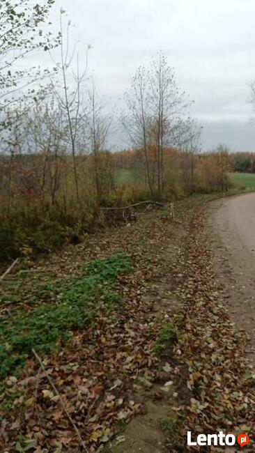 Działka budowlana.Mazury