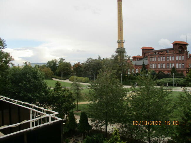 Pokój 12m2 1 os. do wynajęcia dla dziewczyny Centrum Poznań