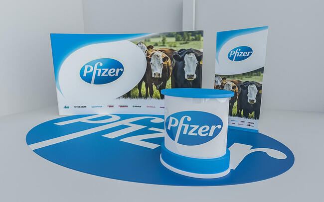 Grafik 3D,2D, DTP...