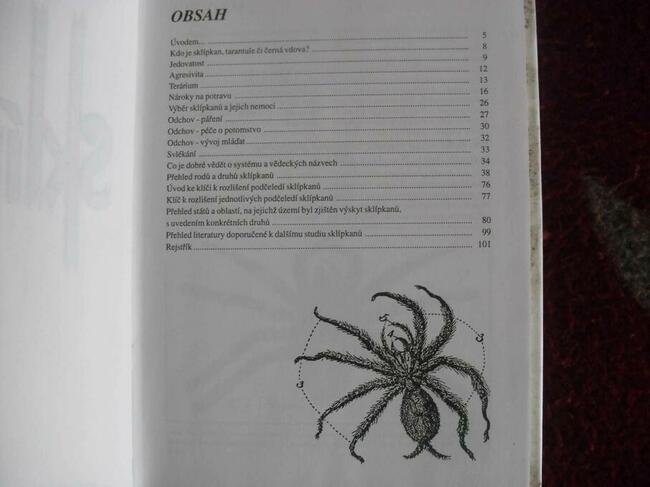 Książka Sklipkani - Ptaszniki - poradnik hodowli