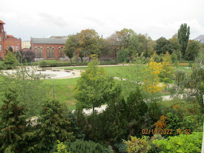 Pokój 12m2 1 os. do wynajęcia dla dziewczyny Centrum Poznań