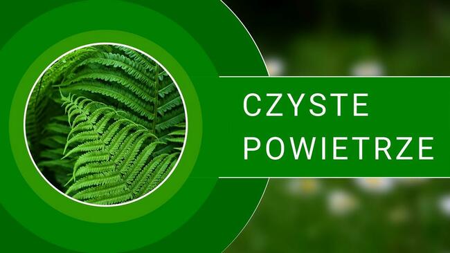 ECO Kocioł Jonowy EvE- Modern Home System