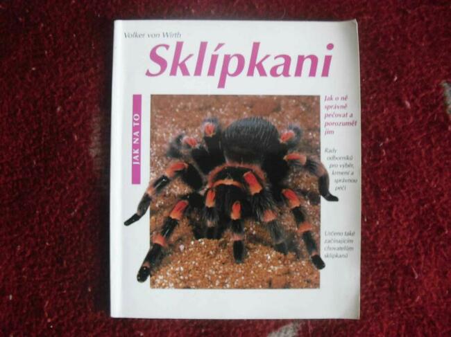 Książka Skipkani - Ptaszniki - Poradnik hodowli