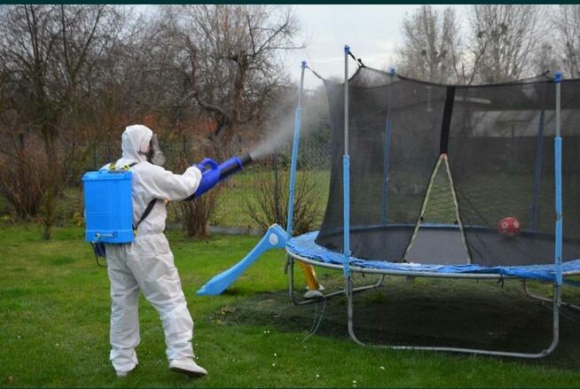 Usuwanie Zwalczanie Pluskiew Dezynsekcja Dezynfekcja