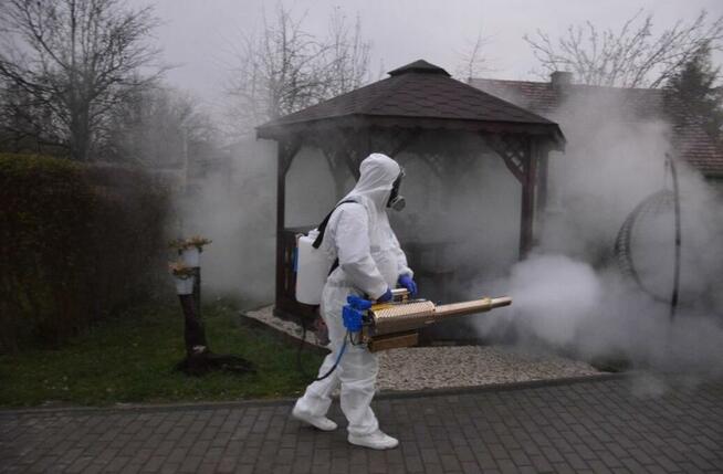 Usuwanie Zwalczanie Pluskiew Dezynsekcja Dezynfekcja