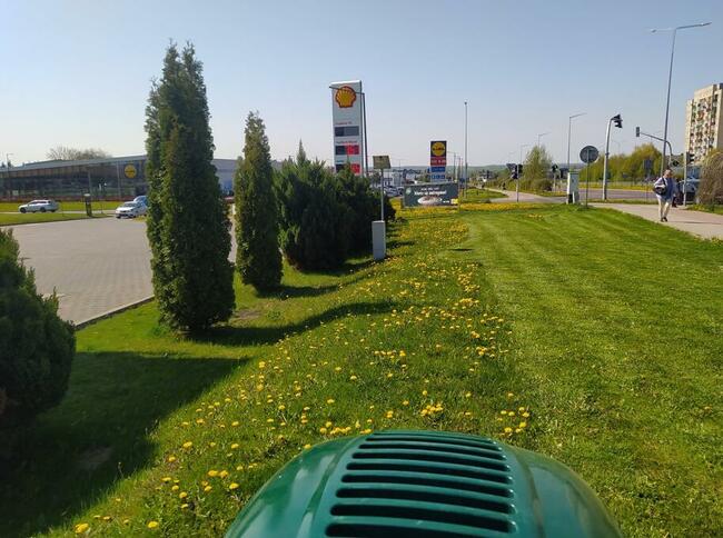 Usługi ogrodnicze, prace porządkowe, wynajem maszyn