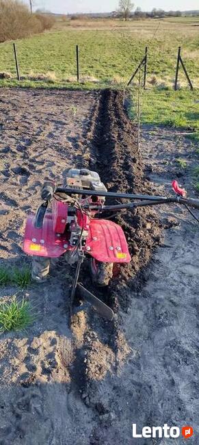 Usługi Ogrodnicze, wynajem maszyn ,