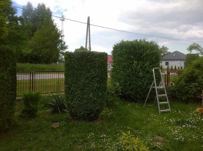 Usługi ogrodnicze, prace porządkowe, wynajem maszyn