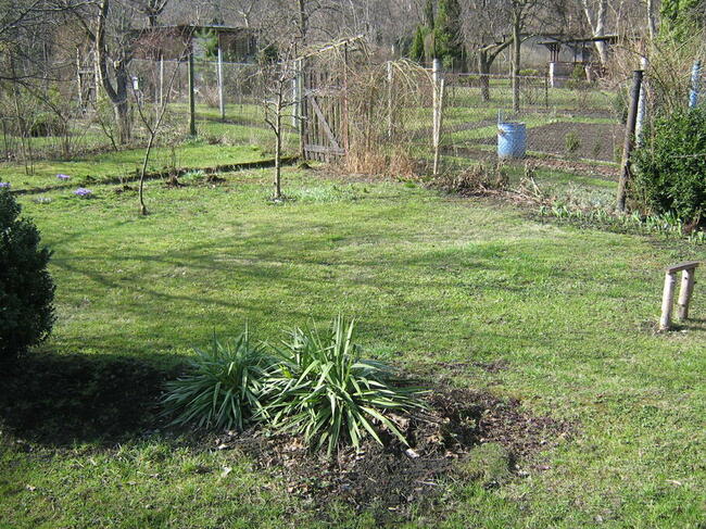 OGRÓDEK działkowy w zacisznym miejscu w CENTRUM Gliwic