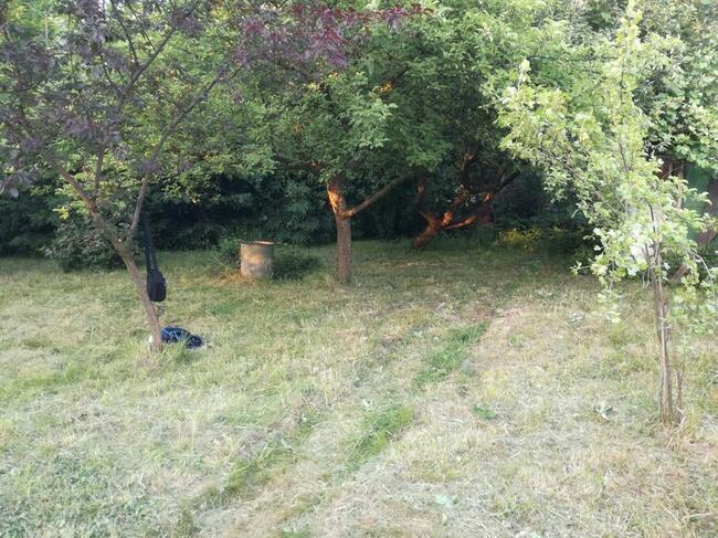 OGRÓDEK działkowy w zacisznym miejscu w CENTRUM Gliwic