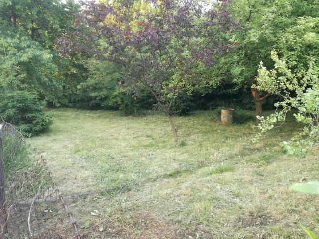 OGRÓDEK działkowy w zacisznym miejscu w CENTRUM Gliwic