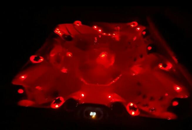 Jacuzzi Ogrodowe Całoroczne Elektryczne Spa z ekspozycji