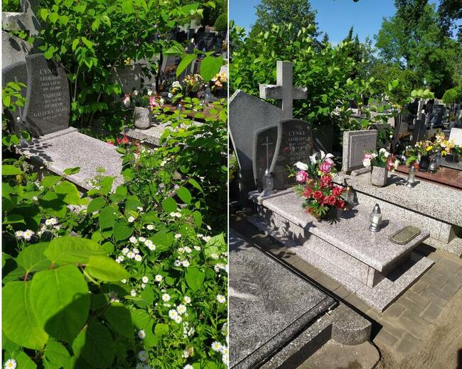 Całoroczne sprzątanie grobów / nagrobków Łódź i okolice