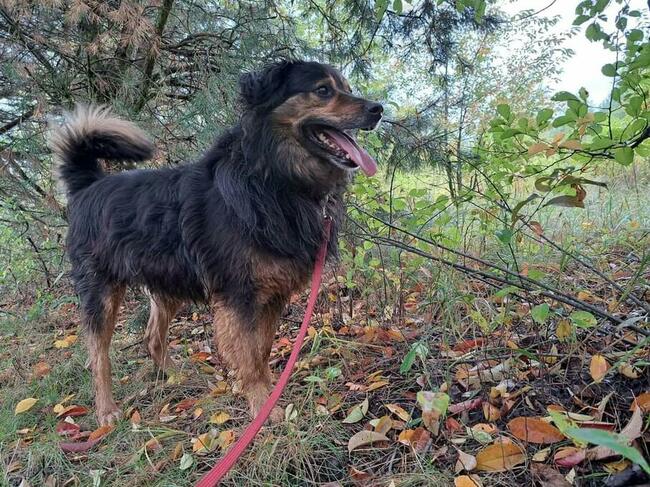 RONI nie miał łatwego życia odmień jego los pokochaj go