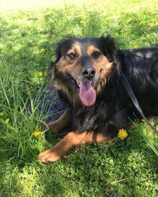 RONI nie miał łatwego życia odmień jego los pokochaj go