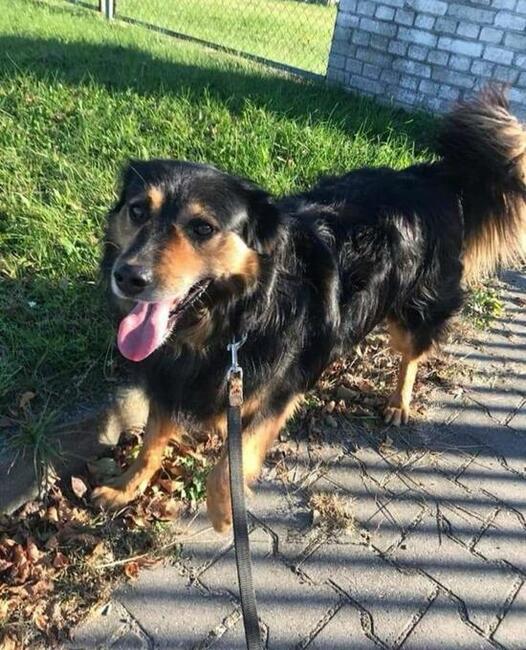 RONI nie miał łatwego życia odmień jego los pokochaj go