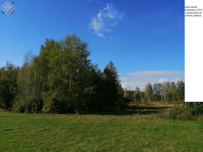 Bud.z P.Z.P-Władysławów g. Mszczonów -15min.Grodzisk M 30min