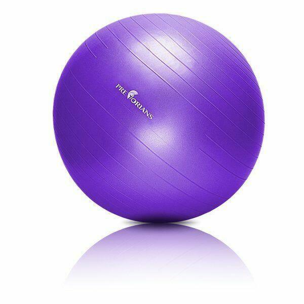 Piłka gimnastyczna anti burst 65 cm fioletowa Pretorians