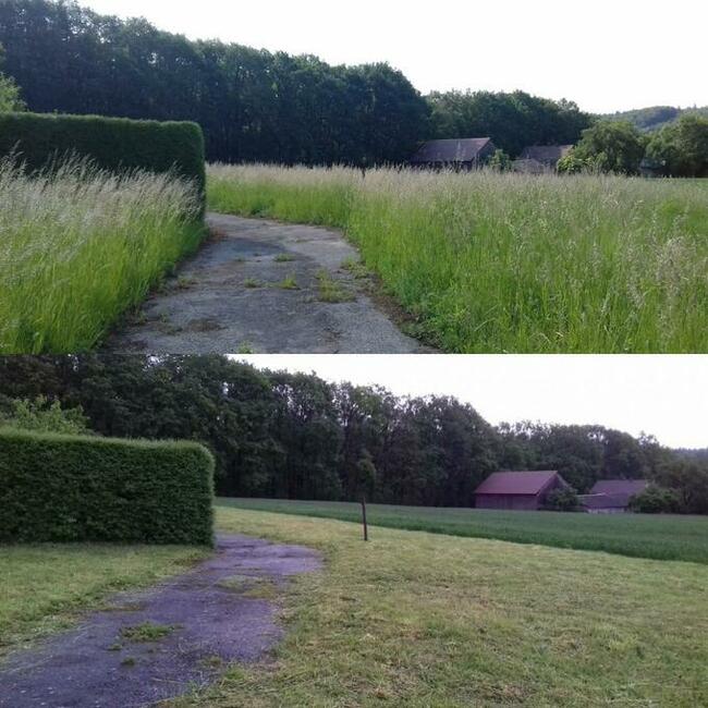 Koszenie trawy, nieużytków, arka bijakowa, karczowanie.Busko