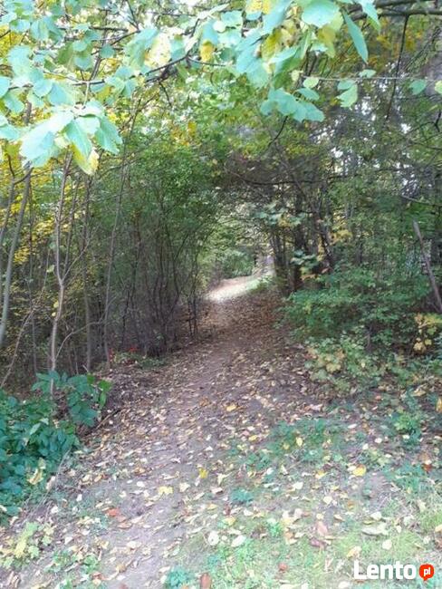 Działka budowlana 1015 m2, blisko jeziora, obok Chodcza