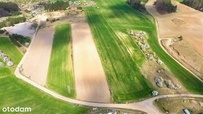 Działka przemysłowa - Nowe Miasto Lub.
