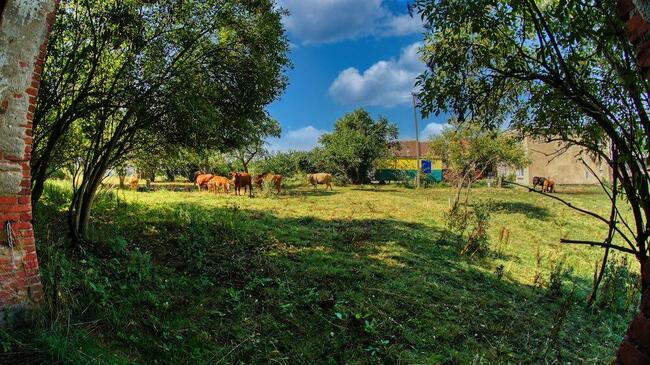 11500 metrów kwadratowych BUDOWLANKI na wsi MOŻLIWOŚĆ RAT