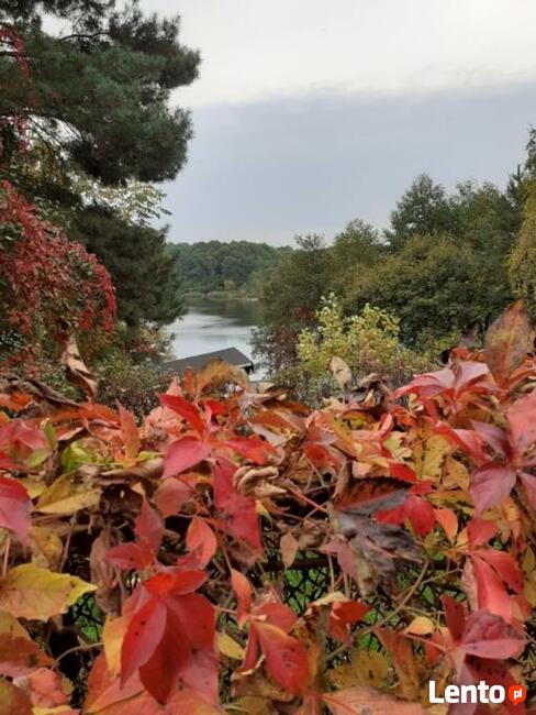 Działka budowlana 1015 m2, blisko jeziora, obok Chodcza