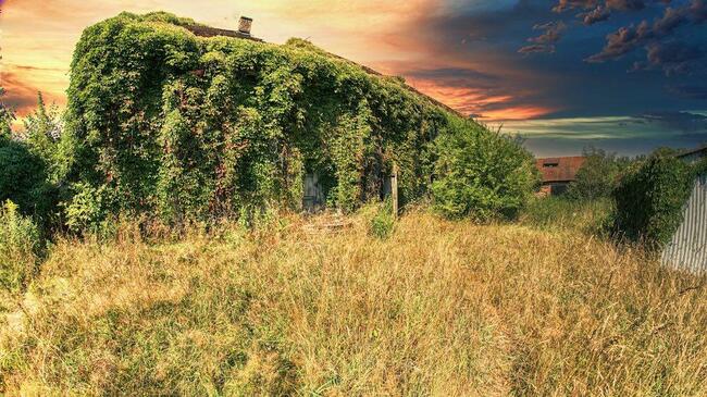 11500 metrów kwadratowych BUDOWLANKI na wsi MOŻLIWOŚĆ RAT