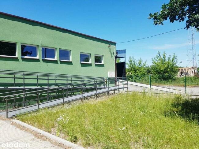 Wynajem | Hala 700 m2 | Działka 31 ar |