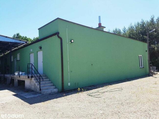 Wynajem | Hala 700 m2 | Działka 31 ar |