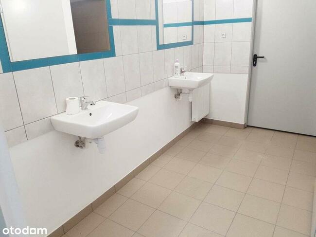 Wynajem | Hala 700 m2 | Działka 31 ar |