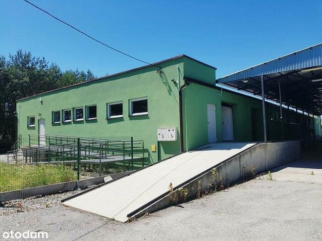 Wynajem | Hala 700 m2 | Działka 31 ar |