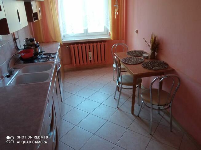 Wynajme mieszkanie 52 m2