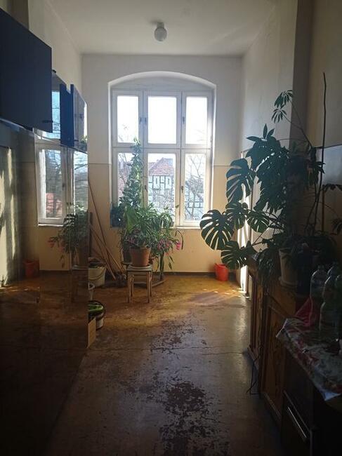 Zamiana mieszkania Brzeg/Pisarzowice