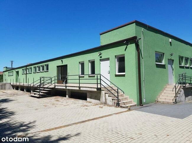 Wynajem | Hala 700 m2 | Działka 31 ar |