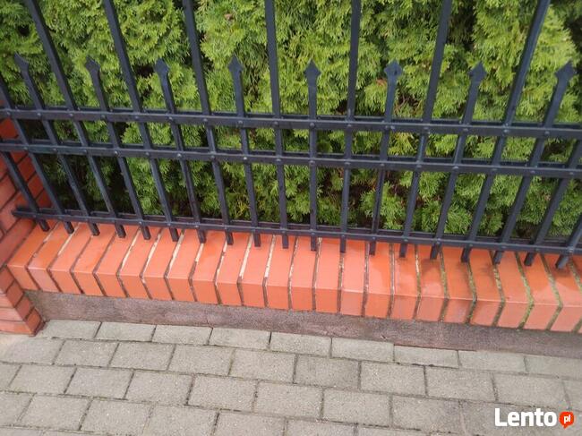 Mycie czyszczenie Paneli Fotowoltaicznych