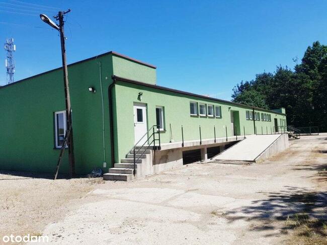 Wynajem | Hala 700 m2 | Działka 31 ar |