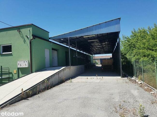 Wynajem | Hala 700 m2 | Działka 31 ar |