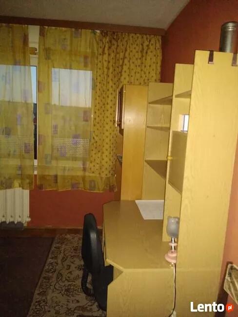 Pokój do wynajęcia