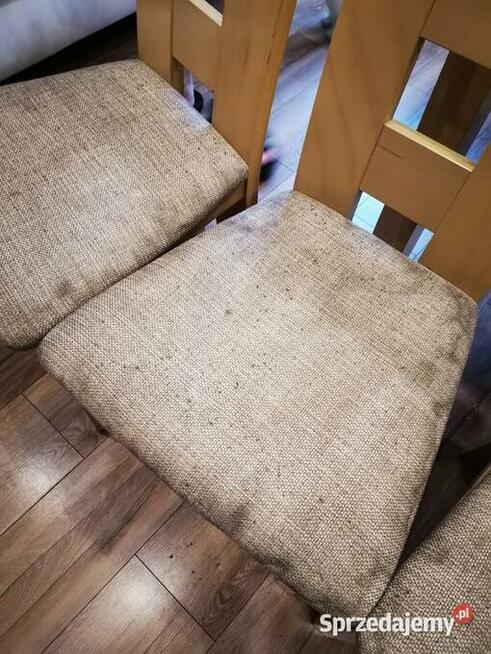 Pranie tapicerki meblowej, dywanów oraz wykładzin