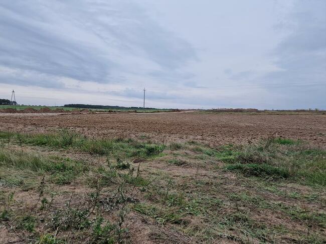 Na Nowym osiedlu, okolice Tarnowa, Kaźmierz