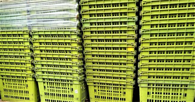 Pojemnik Skrzynka Plastikowa Kosz Magazynowy Transportowy