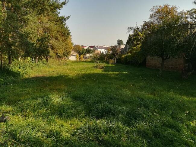 Racibórz - dom do remontu za cenę 230.000,- zł